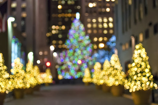 christmas trees and lights twinkling in an outdoor setting